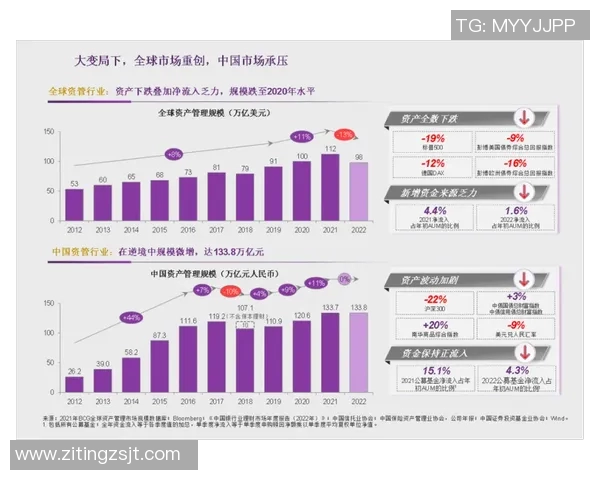 葡超杯赛精彩回顾与分析揭示球队表现与战术变化